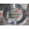 Min 70g Cinc Ovales de alambre galvanizado